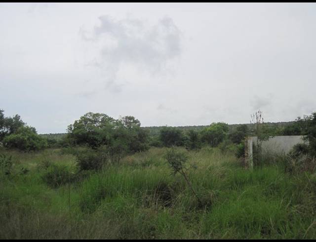 FARM FOR SALE IN HAAKDOORNBOOM AH